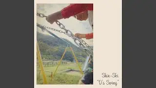 D&rsquo;s Swing