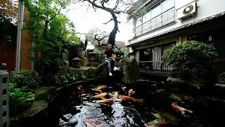 Modern Koi Blog #2730 - Ein Super-Gau der Wasserwerte?