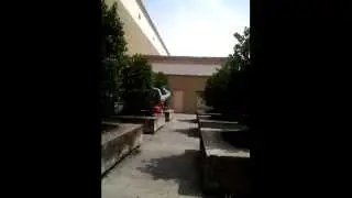 Liquidwolf's 5 foot handstand jump