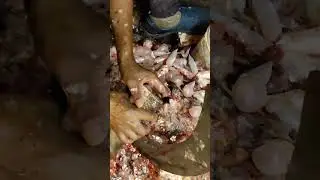 fast rohu fish cutting #rohufishcutting #livefishcutting #livefish #viral #shorts #trending