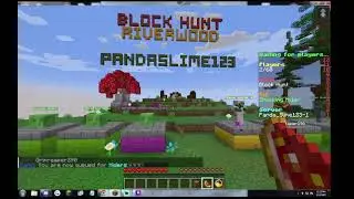 Mineplex/Hypixel