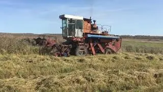 Купить Енисей 1200 и поехать убирать? Легко!