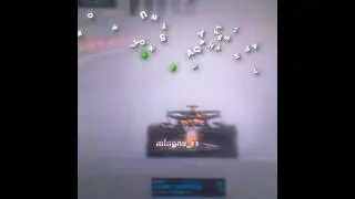 Max Verstappen Brazil 2024 ☠️ #f1 #f12024 #championship #shorts