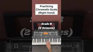 Day 77/365 | B Chromatic Scale Right Hand | Piano Practice | Habil Ali | 60BPM | #pianobyHB