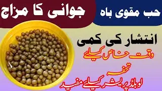 How To Make Hab Muqawi Bah | Benefits of Hab Muqawi Bah By Hakeem Muhammad Yaqoob #herbal #love