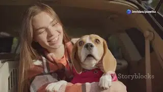 Say Goodbye to Pet Car Anxiety 🐾 | Easy Tips for Stress-Free Travel with Your Dog 🚗💖