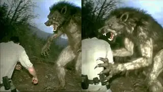 FBI Sent Two Agents to Investigate Dogman Reports in Michigan — One Never Came Back — Dogman Stories