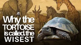 WHY THE TORTOISE IS CALLED THE WISEST ANIMAL #Africanfolktales #Africanstories