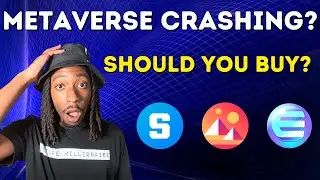 Metaverse Quick Update | Should You Buy The Dip?