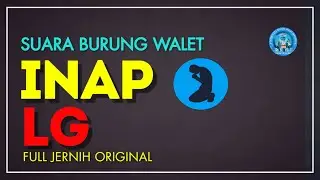 suara inap burung walet  full original mp3