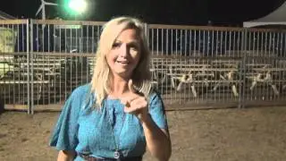 Ashleigh Ball's Message to the Bronies