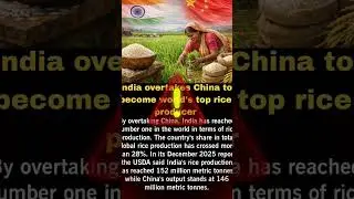 India overtakes China to become world's top rice producer || #IndiaBeatsChina #RiceProduction