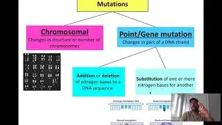 Science 30 - Biology - 17 - Mutations