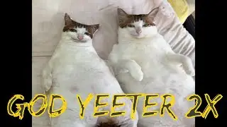 God Yeeter 2x Speed 100% (Extreme Demon)