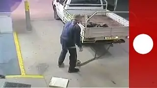 Epic Fail: El peor ladr&oacute;n del mundo vive en Australia