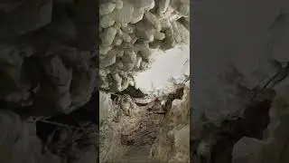 Ohio Erie Lake South Bass Island Crystal Cave Put-In-Bay U.S.America Google Earth Google Map #google