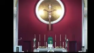 12 noon Mass, Sun 16 November 2025, Thirty-Third Sunday in Ordinary Time