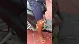 Bibi hugs dad's leg