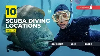 [2023] Belize Dive Sites That Will Blow Your Mind: Our Top 10 Scuba Diving Locations
