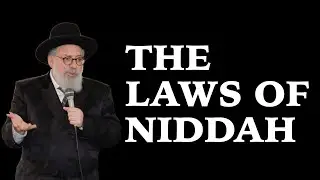 Niddah basics | Halachos of Niddah (part 1)