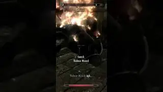 Thalmor Bonk 💢#skyrim #elderscrolls #bethesda #xmen #slowmotion #elderscrolls6 #fallout #gaming
