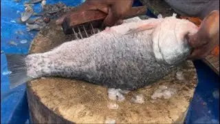 Sk.Vlogs24 is live amazing fish cutting live skill