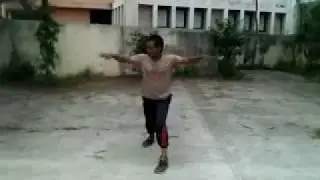 Five Holy Animal's Fist