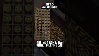 FILL the Ammo Can Day 5 #ammo #fmj #9mm #shooting #viral #handgun #shotgun #selfdefense #pistol