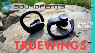 SOUNDPEATS TRUEWINGS | $40 Workout Earbud with IPX7 + Passthrough Mode &ndash; Something's Gotta Give...