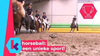 Horseball: een unieke sport!