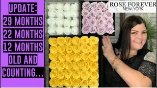 Rose Forever New York // Update on ALL THREE Arrangements +Discount Code