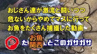 第76弾！増水した川でガサガサしてみたけど危ないのでマスに行ってガサガサしていたおじさんたちの物語　#ガサガサ#たかガサ#淡水魚