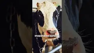 ТРЕТЬЯ ТОЧКА ПОТЕРИ ПРИБЫЛИ