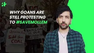 Goa: Why Goans Are Still Protesting To Save Mollem?