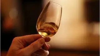 2025 Wine Tasting Promo Video