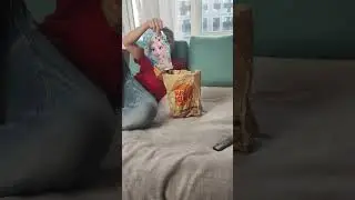 Что смотрит мой Марио??? #dyraleyz