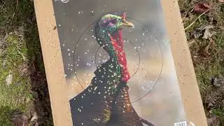 Patterning Turkey Guns - What Load is BEST?