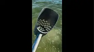 Metal Detecting Central Florida Beach