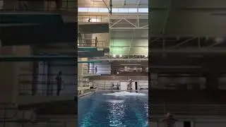 NEW Dive in progress 10M 107B