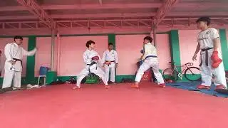 Study  sparring 