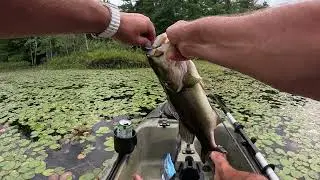 Big Bass Blow Up!!