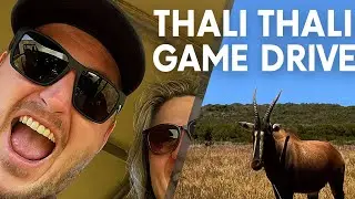  🐾 Thali Thali Game Drive &ndash; Nature, Wildlife & West Coast Beauty