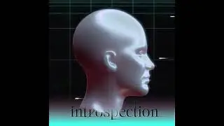introspection