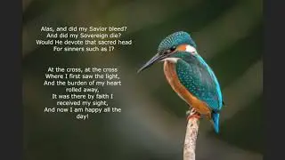 At The Cross (Where I First Saw The Light)  | Piano Instrumental With Lyrics | Hymn