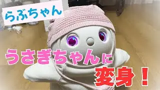 【LOVOT】うさぎちゃんに変身♡らぶちゃん