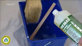 Противоплесневое средство на водной основе &laquo;REMAL SANAL&raquo; от &laquo;Teluria&raquo;