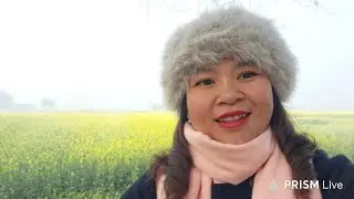 CHO EM MỘT LẦN Y&Ecirc;U 