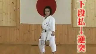 Gedan Barai + Gyaku Zuki JKA Shotokan Karate