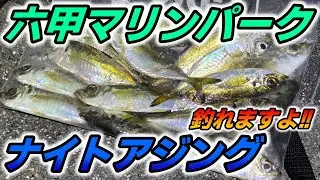 【六甲マリンパーク】快適にアジングできます！夜の短時間でつ抜けも狙える！