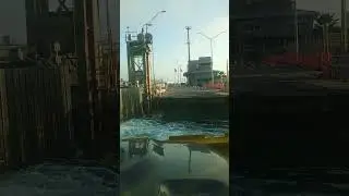 Ferry Boat ride and dolphin watching 
